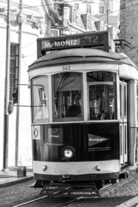 BONIFACIO-Federica-Electrico- 