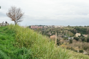 mauro micozzi
