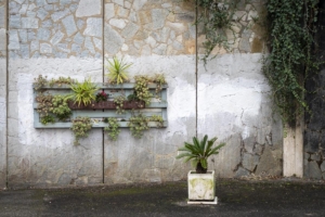 carlo rampioni - decoro urbano