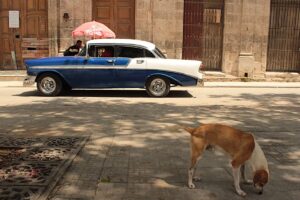 Santoro-Vincenzo-Auto-de-la-Habana