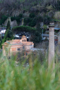 cosimo schinella
