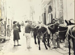 TARI BENEDETTO - TRASPORTO MERCI SU ANIMALI                 SI