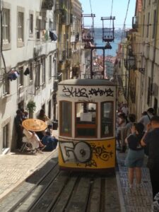 Zani-Ginevra-Coracao-de-Lisboa