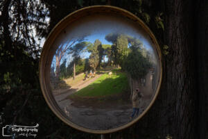 antonio tomasso 