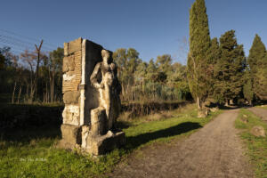 benedetto tari