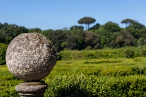 francesca mariani p03