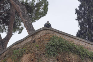 garavini antonio 3 fcf
