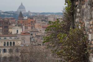 scrimitore paolo 1