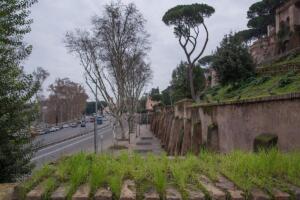 scrimitore paolo 4